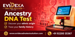 Ancestry Dna Testing